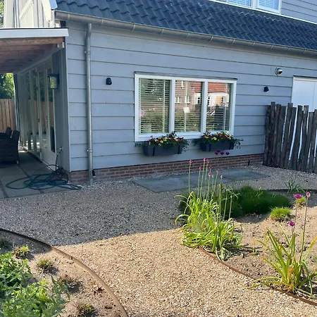 Zilt アウドルプ